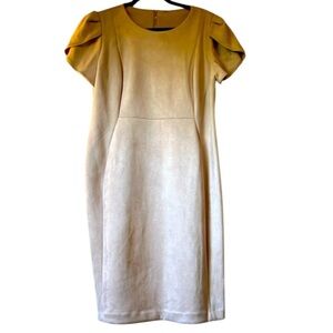 Calvin Klein Suede Like Blush Pink Dress with Sleeves NWOT